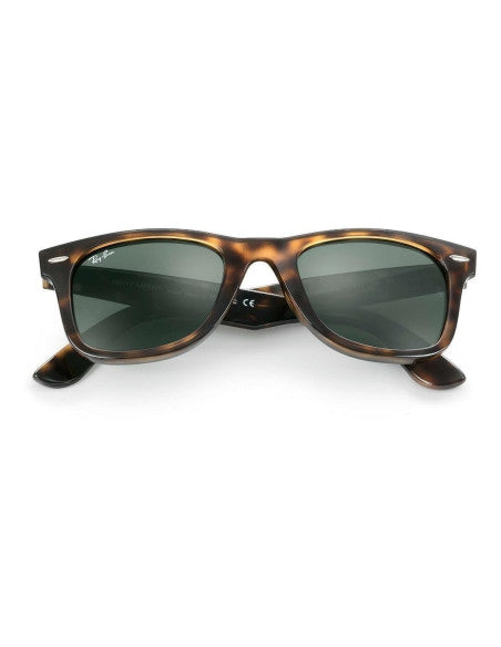 Ray Ban Rb4340 710 Wayfarer Ease Carey G-15 Negro