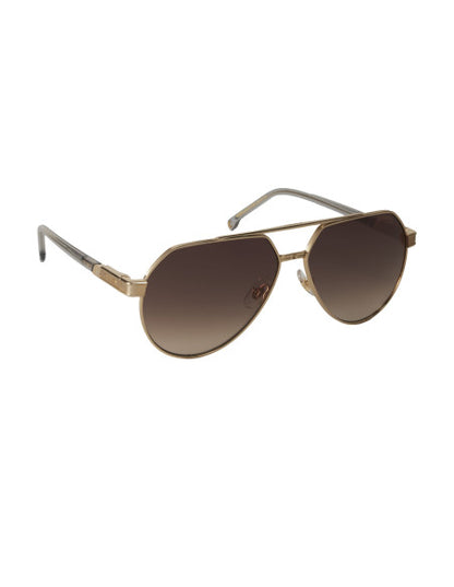 Carrera 1067/s 2F7HA New Aviator Coffe Gold
