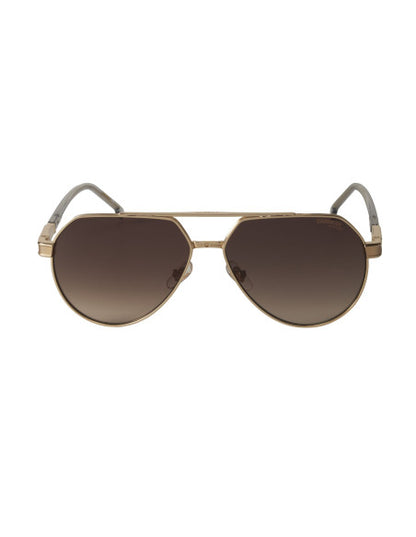 Carrera 1067/s 2F7HA New Aviator Coffe Gold