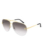 Cartier CT0065S 008