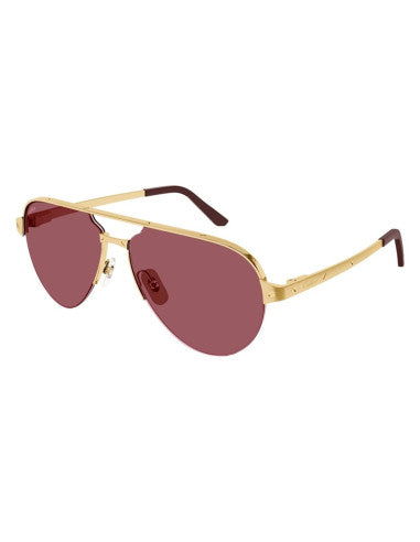 Cartier CT0386S 004