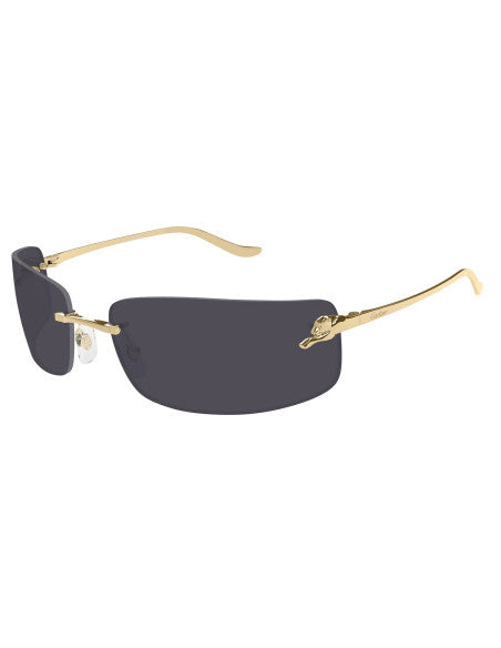 Cartier CT0503S 001 P