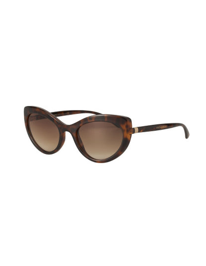 Dolce & Gabbana DG6124 502/13 Eye Cat Carey Cafe Dorado