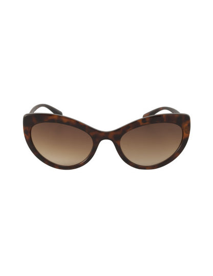 Dolce & Gabbana DG6124 502/13 Eye Cat Carey Cafe Dorado