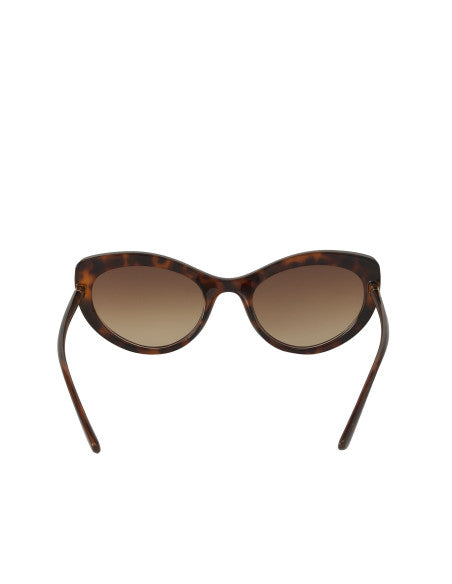 Dolce & Gabbana DG6124 502/13 Eye Cat Carey Cafe Dorado
