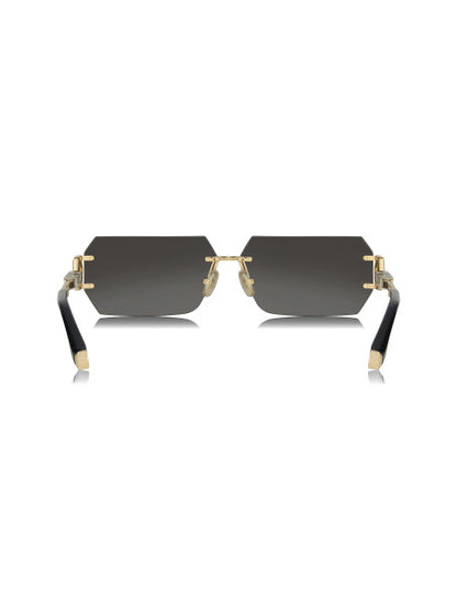 Philipp Plein SPP110 0700