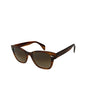 Ray Ban RB0880S 954/51 Square Shape Carey Cafe