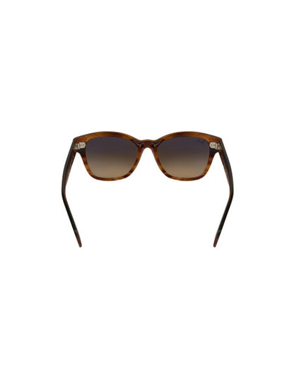 Ray Ban RB0880S 954/51 Square Shape Carey Cafe