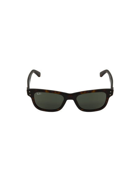 Ray Ban RB2283 954/33 Burbank Carey Cafe Original