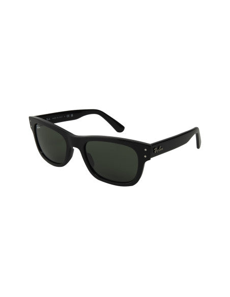 Ray Ban RB2283 901/31 Burbank Negro G-15 Original