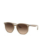 Ray Ban RB4306 6166/13 New Hexagonal Acetato Cafe Degradado