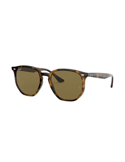 Ray Ban Rb4306 710/73 New Hexagonal Acetato Carey B-15